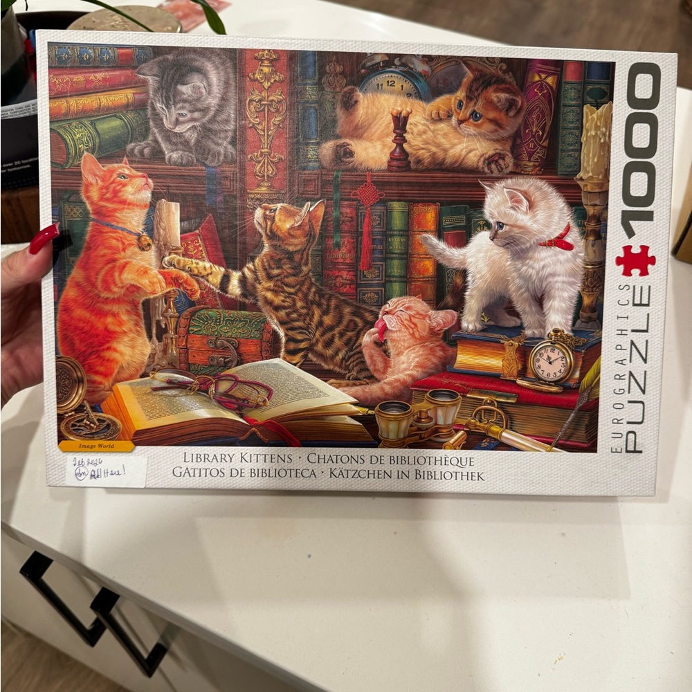 Eurographics - Library Kittens Puzzle - 1000 Pieces